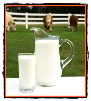 Laptele de vaca compozitie si substante nutritive