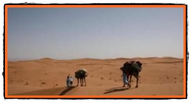Lumea Desertului Neger din Israel