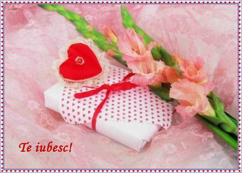 Mesaje si felicitari de Valentine’s Day